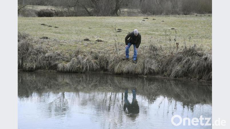 Jonas Nelhiebel geht in seinem neuen Job auf. Er lobt auch die Familienfreundlichkeit seines neuen Arbeitgebers. Seine Kinder darf er jederzeit in die Arbeit mitnehmen. Bild: Petra Hartl