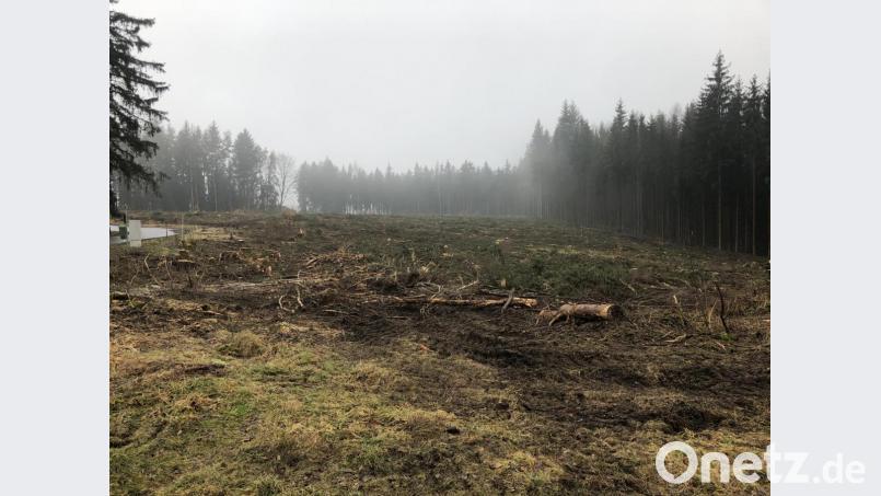 Aktuell durch Rodungsarbeiten des Vorbeistzers noch nicht gerade ansehnlich das neue Baugebiet Neusorg West, dafür aber im Eigemtum der Gemeinde Bild: exb