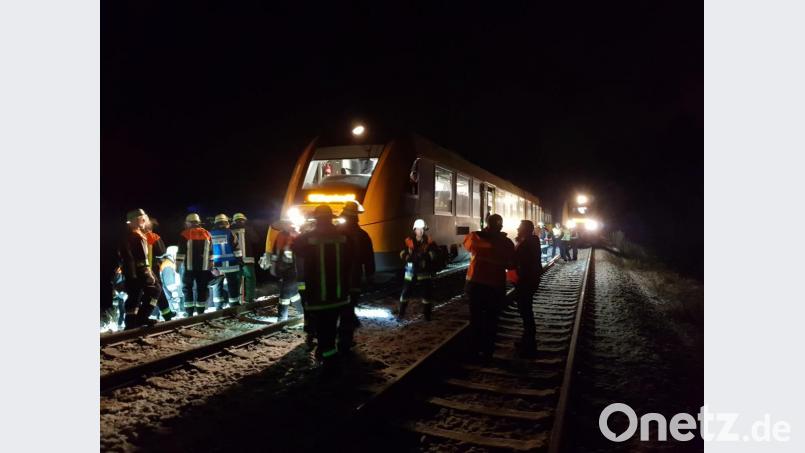 Einsatz auf den Gleisen: Die Feuerwehren leuchteten die Einsatzstelle aus, fingen die auslaufenden Flüssigkeiten auf und bauten die beschädigte Zugverkleidung ab. Bild: Feuerwehr Wiesau/exb