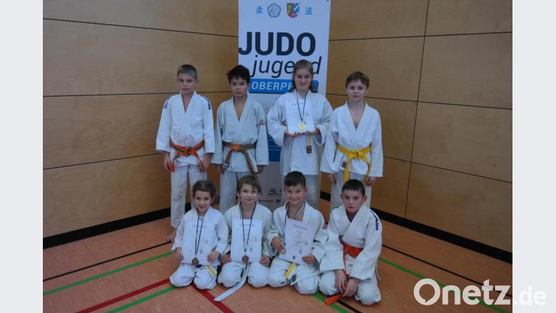 Drei Mal Gold, zwei Mal Silber und drei Mal Bronze sammeln die Athleten des Judo-Vereins Sulzbach-Rosenberg beim offenen Ranglistenturnier ein. Bild: shu
