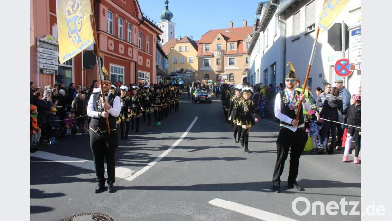 Beim Faschingszug 2019 zog ein langer Gaudiwurm durch den Ort. Heuer machen die Narren am 16. Februar die Pressather Straßen unsicher. Archivbild: sne