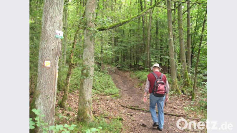 Ein Gäste-Magnet im Landkreis Schwandorf ist das weitläufige Netz aus Wanderwegen. Auf unzähligen Kilometern durch Wälder und Fluren können leidenschaftliche Fußgänger ihrer Passion nachgehen. Archivbild: mp