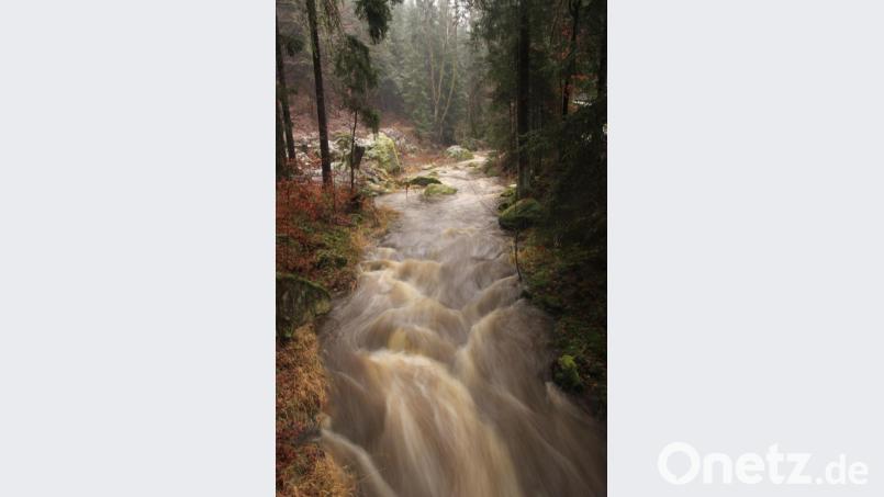Die Ascha nach den ergiebigen Regenfällen. Bild: exb/Ernst Meindl