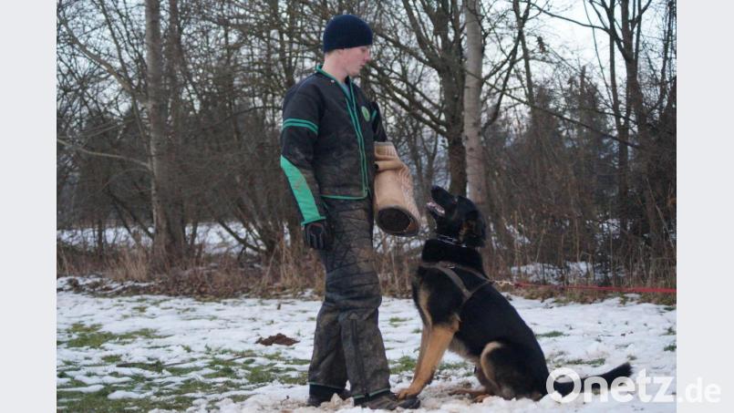 Das Training mit den Vierbeinern steht im Mittelpunkt beim Schäferhundeverein Süß. Bild: exb
