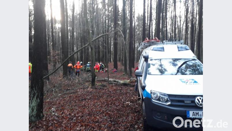Die Bergwacht Amberg muss einem 19-Jährigen helfen, der bei Holzfällarbeiten schwer verletzt wurde. Bild: exb/Feuerwehr/HvO Ursensollen