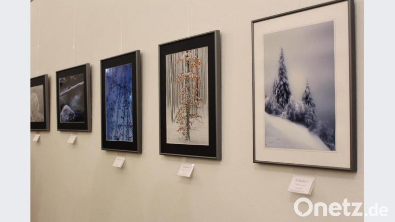 Kalt, kälter, Eis und Schnee: Inspirierende Landschaftsbilder von elf Hobby-Fotografen schmücken die Wände im Zeughaus unter dem Motto &quot;Eiskalt&quot;. Bild: Dagmar Williamson