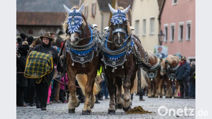 Pferde werden zum Berchinger Rossmarkt geführt. Der Berchinger Rossmarkt gilt als das größte Wintervolksfest im Freistaat. Foto: Armin Weigel/dpa Bild: Armin Weigel