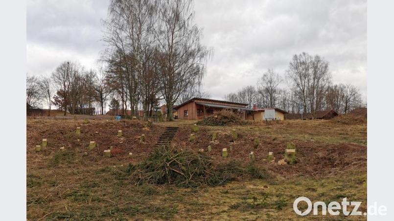Der Bau der Badelandschaft in Kiosk-Nähe erforderte die Rodung von rund 40 Nadelbäumen. Bild: gz