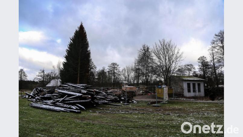 Die Plärnmühle wurde in der vergangenen Woche abgerissen. Ein Bagger steht nun auf Bauschutt, wo die ehemalige Mühle stand. Vor dem Gebäude liegen die verkohlten Balken. Bild: Roland Wellenhoefer