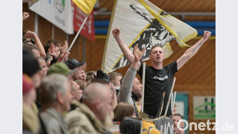 Die Fans stehen hinter dem ERSC Amberg und werden am Sonntag wieder für Stimmung sorgen. Bild: ref