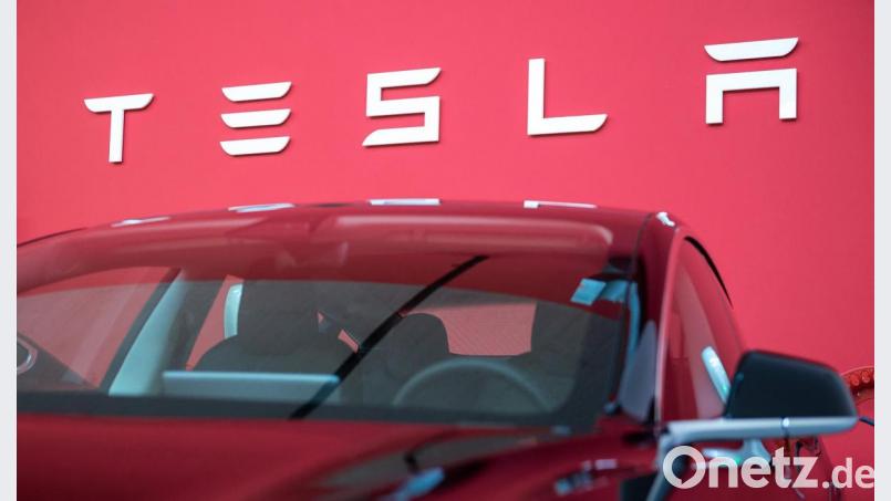 Teslas sollen in Zukunft auch in Brandenburg vom Band laufen. An den Planungen für die Fabrik gibt es nun aberheftige Kritik aus der Oberpfalz. Bild: Silas Stein/dpa