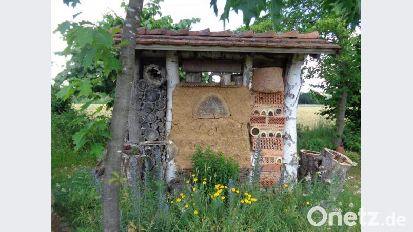 In ihrem Bienengarten haben die Mitglieder des Imkervereins Schwarzenfeld ein großes Insektenhotel errichtet. Bild: exb/Annemarie Winklhofer