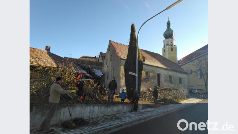 Viele fleißige Helfer lichteten am Samstag den Gehölzbestand am Heldwein-Anwesen, unterstützt wurden sie vom Projektmanager der Biodiversitätsgemeinde Johannes Weinberger (Dritter von links). Bild: rfi