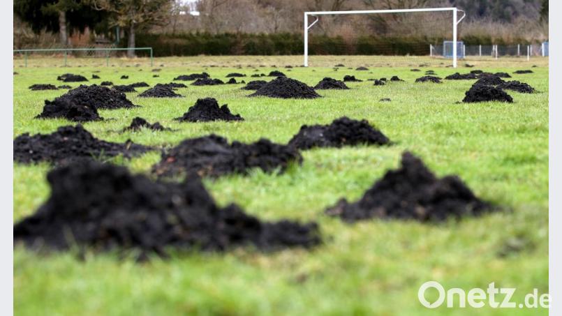 Symbolbild. Bild: Thomas Warnack/dpa