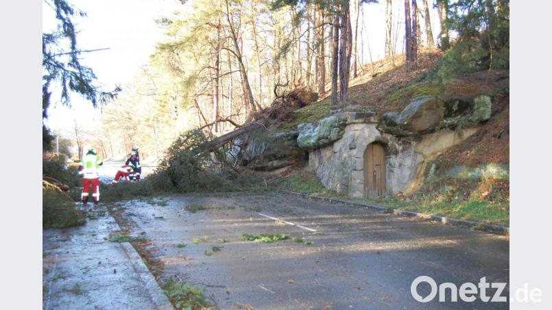 Die Felsmühlstraße in Grafenwöhr ist am Montag zeitweise durch umgestürzte Bäume blockiert. Bild: az