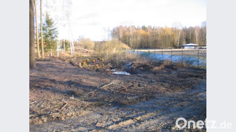 Links der von Laubbäumen gesäuberte Saum. Ein Graben trennt ihn vom Geomatrix-Filter auf der rechten Seite. Bild: bkr