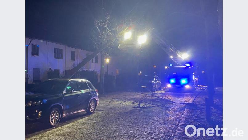 Feuerwehrleute arbeiten in Regenstauf an einem Baum, der vom Sturmtief &quot;Sabine&quot; auf ein parkendes Auto geweht worden war. Umgestürzte Bäume waren auch im Gebiet der ILS Nordoberpfalz und Amberg der Hauptgrund für Einsätze. Bild: Alexander Auer/dpa