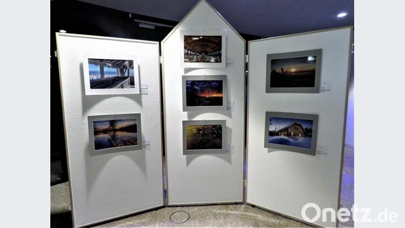 Die besten Motive der Erstplatzierungen. Bild: ubb