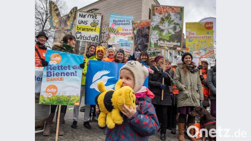 Die dreieinhalb Jahre alte Emilia hält während einer Kundgebung der Initiatoren des Volksbegehren Artenvielfalt vor der bayerischen Staatskanzlei ihre Stoffbiene in den Händen. Bild: Peter Kneffel/dpa