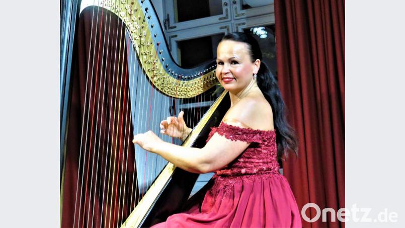 Katarina Sevciková erklärte ihren Gästen auch die Funktionen ihres Instruments. Bild: ubb