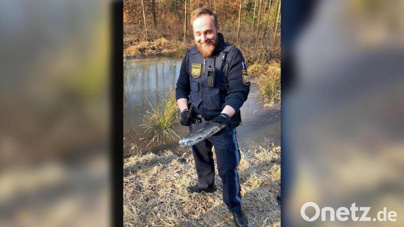 Am Tümpel angekommen entdeckten die Beamten das Tier - zumindest den Kopf aus Plastik. Bild: Polizei Niederbayern