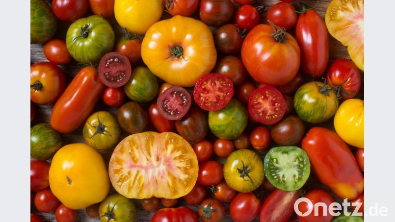 Tomaten sind nicht einfach nur rot: Sie kommen in allen Farben und Formen. Bild: kaliantye – stock.adobe.com