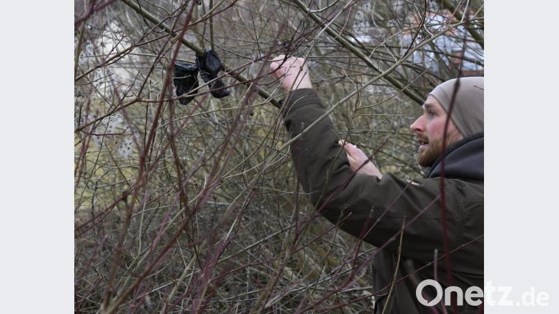 Jonas Nelhiebel ärgert sich, wenn er wieder einmal einen mit Hundekot gefüllten Plastikbeutel bei seinem Rundgang aus einem Strauch fischt. Bild: Petra Hartl