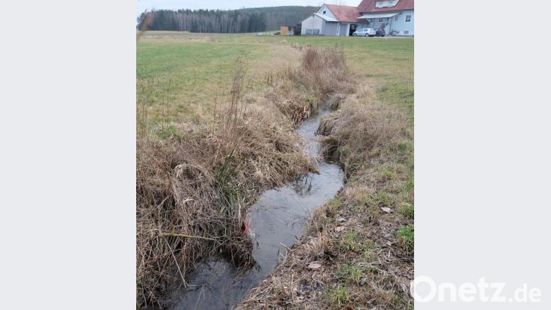 Der Gemeinderat Schwarzach beschloss den Beitritt zum Landschaftspflegeverein im Landkreis Schwandorf. Die Organisation setzt sich für den Erhalt der Kulturlandschaft ein und fördert Maßnahmen an Gewässern Dritter Ordnung. Der Weidingbach in der Gemeinde Schwarzach durchfließt Weiding und mündet in nordwestlicher Richtung in die Schwarzach. Bild: ohr