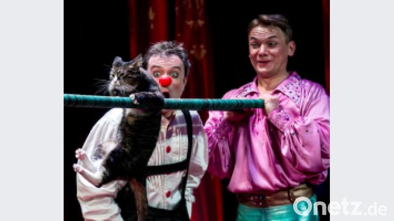 Katzentheater Bild: EuropaArts/exb