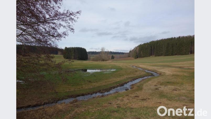 Am rückwärtigen Waldrand ist eine weitere Sonnenstromanlage im Tal des Raunetbachs bei der Marxmühle (Bildmitte) geplant. Der Abstand zur Waidhauser Landstraße beträgt rund einen Kilometer. Bild: fjo