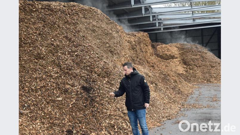 Kraftwerksleiter Michael Jakuttis überzeugt sich von der Qualität der Hackschnitzel: Der Holzbedarf am Eichelberg liegt bei etwa 80 000 Tonnen pro Jahr. Bild: ANDREAS ROYER