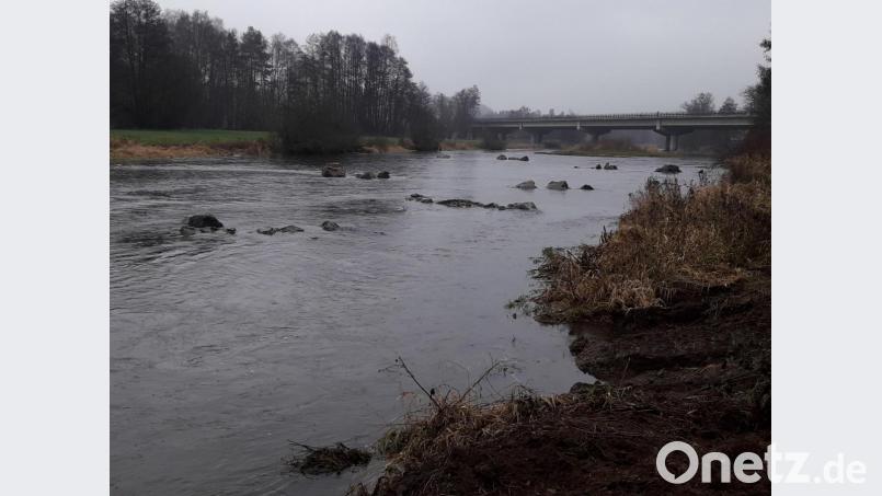 „Störsteine“, „Nierenbecken“ als Jungfischhabitate, Einbau von Totholz: Mit diversen Aktionen verbessern die Angler die Bodenstrukur im Bereich der Naab. Bild: hm