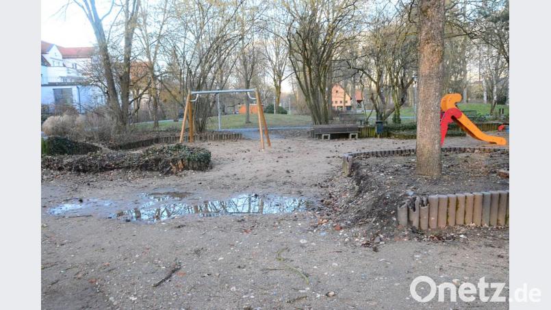 Noch in diesem Jahr sollen die Planungen für die Anlage &quot;Max-Reger-Park&quot; abgeschlossen sein. Bild: Kunz