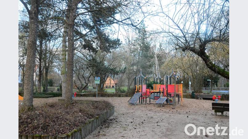 Noch in diesem Jahr sollen die Planungen für die Anlage &quot;Max-Reger-Park&quot; abgeschlossen sein. Bild: Kunz
