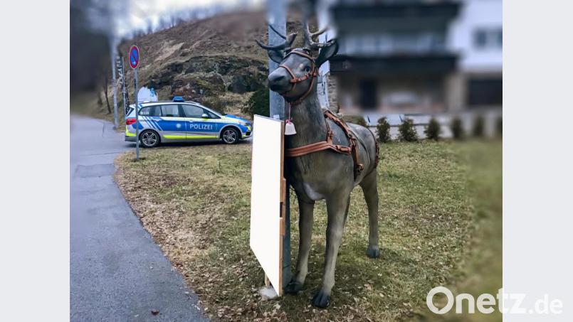 Ein Hirsch mit Geweih hat in Zwiesel eine Autofahrerin erschreckt. Bild: Polizeipräsidium Niederbayern/dpa