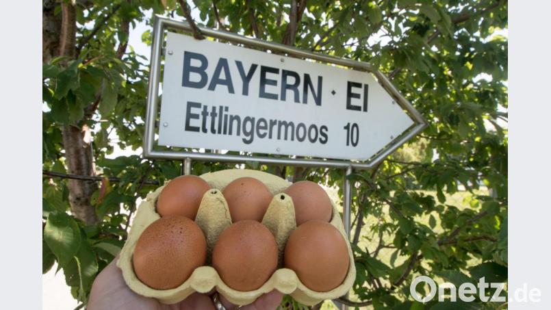 Eier werden vor ein Schild mit der Aufschrift "Bayern - Ei" nahe dem Betriebsgelände der Firma gehalten. Foto: Armin Weigel/Archiv Bild: Armin Weigel