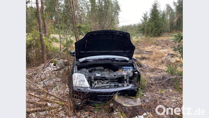 Das Auto kam in einem Waldgebiet zwischen Weiden und Parkstein zum Stehen. Bild: Gustl Beer