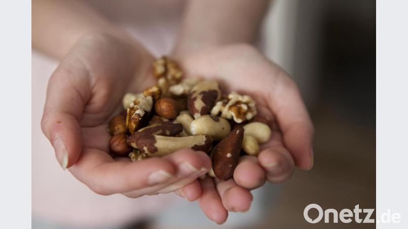 In Ostbayern ist ein Nuss-Dieb unterwegs. Bild: Silvia Marks