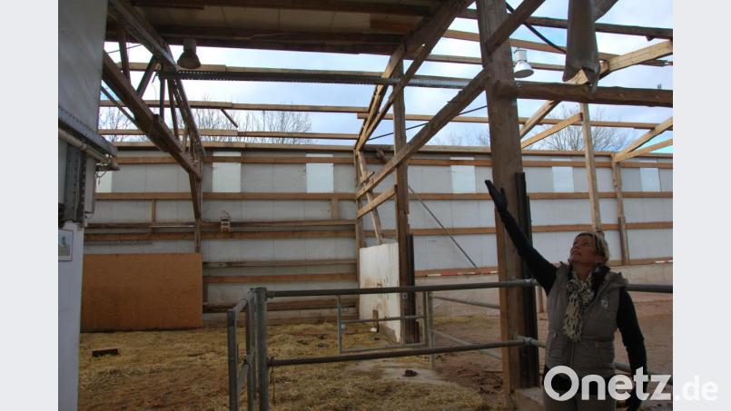 Christiane Schärl zeigt, welche Schäden der Orkan angerichtet hat. Bild: Gerd Spies