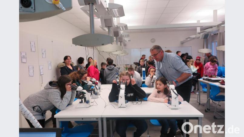 Erstaunliche Dinge konnten die Schüler unter den Mikroskops bei Lehrer Thomas Seitz betrachten. Bild: jzk