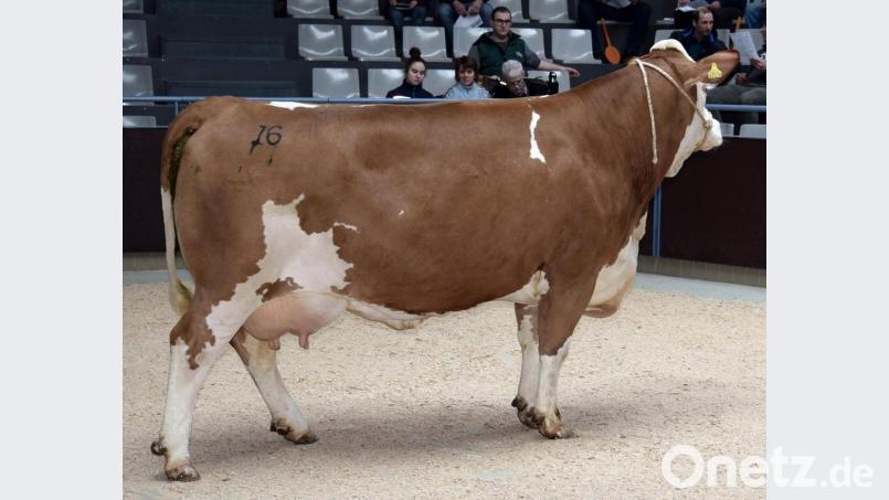 Vom Betrieb Wendl aus Kemnath im Landkreis Schwandorf wurde diese hervorragende &quot;Empathie&quot;-Tochter zum Verkauf angeboten. Bild: exb
