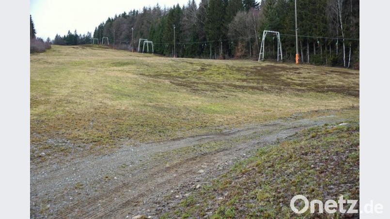 Kein Flöckchen Schnee - und das Mitte Februar. Bild: bkr