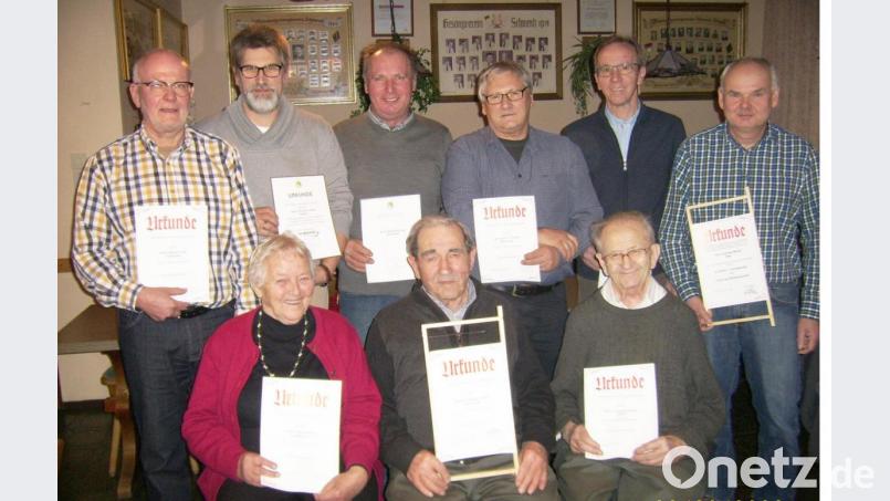 Ehrungen beim Imkerverein (sitzend, von links): Frieda Dehling, Leonhard Schötz und Georg Hartmann; (stehend, von links): Hubert Lang, Alexander Spitzl, Reinhard Franz, Josef Schmidt, Werner Dürgner und Günter Mertel. Bild: no