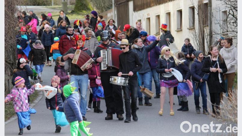 Kinderfaschingszug Albersrieth Bild: fvo