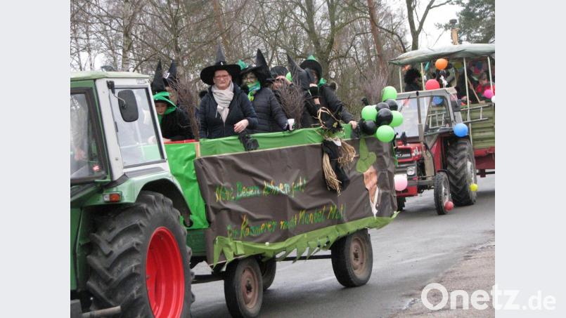 Faschingszug Mantel 2020 Bild: knh