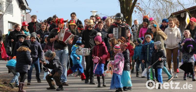 Kinderfaschingszug in Albersrieth. Bild: fvo