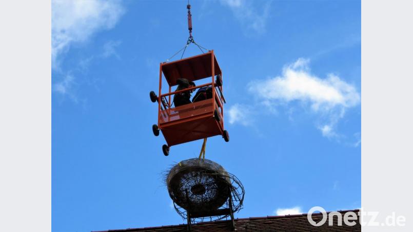 Der Kran senkt sich, das Nest rutscht exakt in die alte Halterung. Bild: ubb