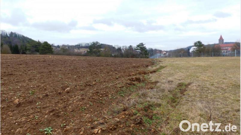 Auf dem Bio-Acker neben dem Freibad in Kastl soll der Campingpark Lauterachtal entstehen. Bild: jp
