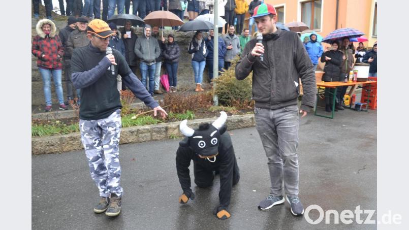 Der Bulle hatte kein Interesse an der Kuh. Bild: gi