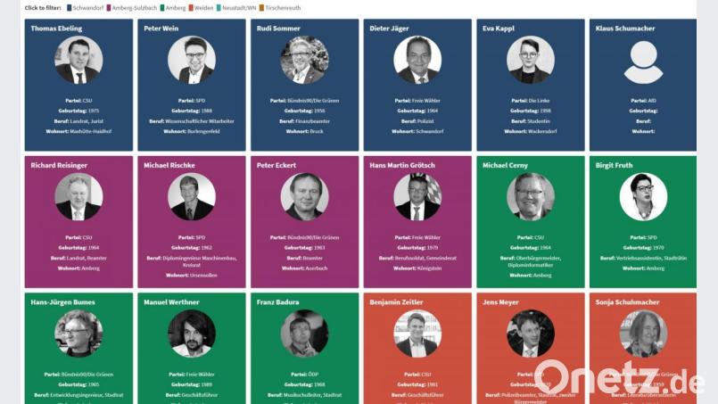 Eine bunte Palette an Kandidaten für die Landratsämter der Oberpfalz Screenshot: Würth, Wolfgang
